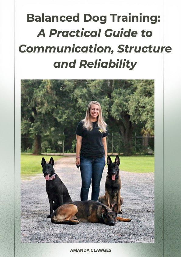 Balanced Dog Training Guide